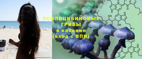 герыч Сосновый Бор