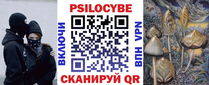 Галлюциногенные грибы мицелий  Гаврилов-Ям 
